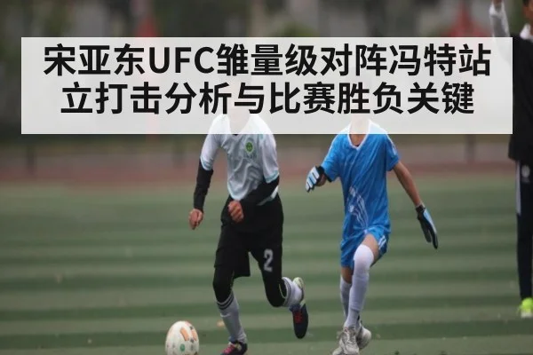 宋亚东UFC雏量级对阵冯特站立打击分析与比赛胜负关键 - kaiyun sports