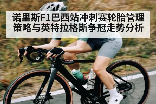 诺里斯F1巴西站冲刺赛轮胎管理策略与英特拉格斯争冠走势分析